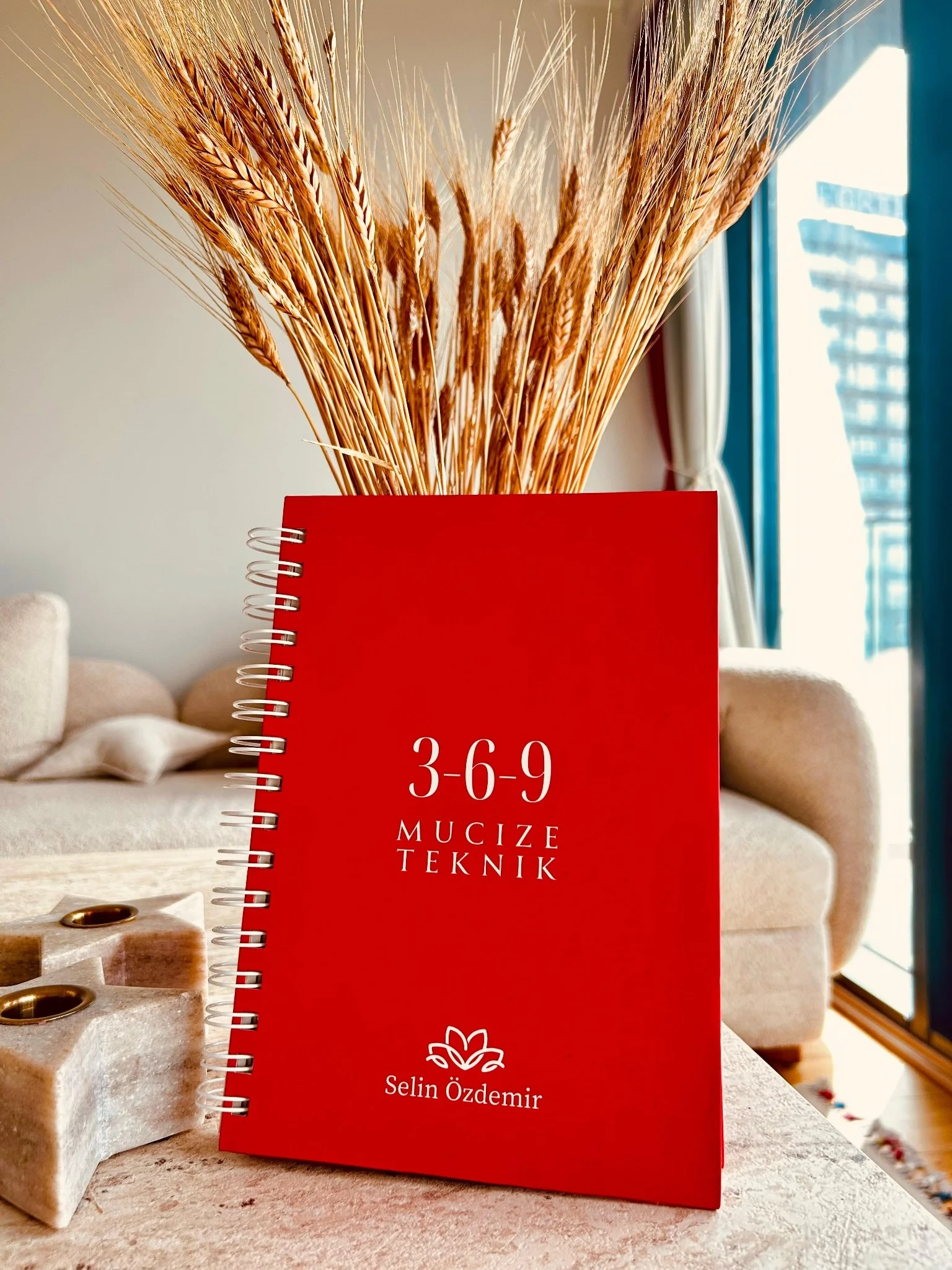 369 mucize defter