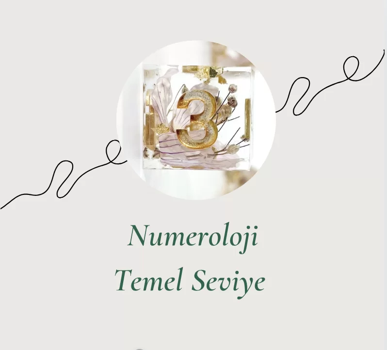 Numeroloji Temel Seviye