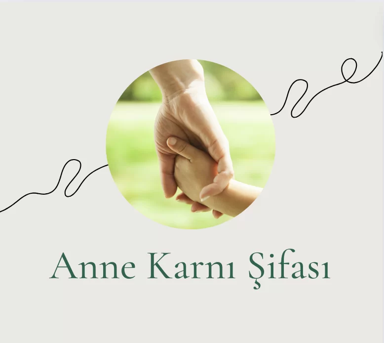 Anne Karnı Dönüşümü